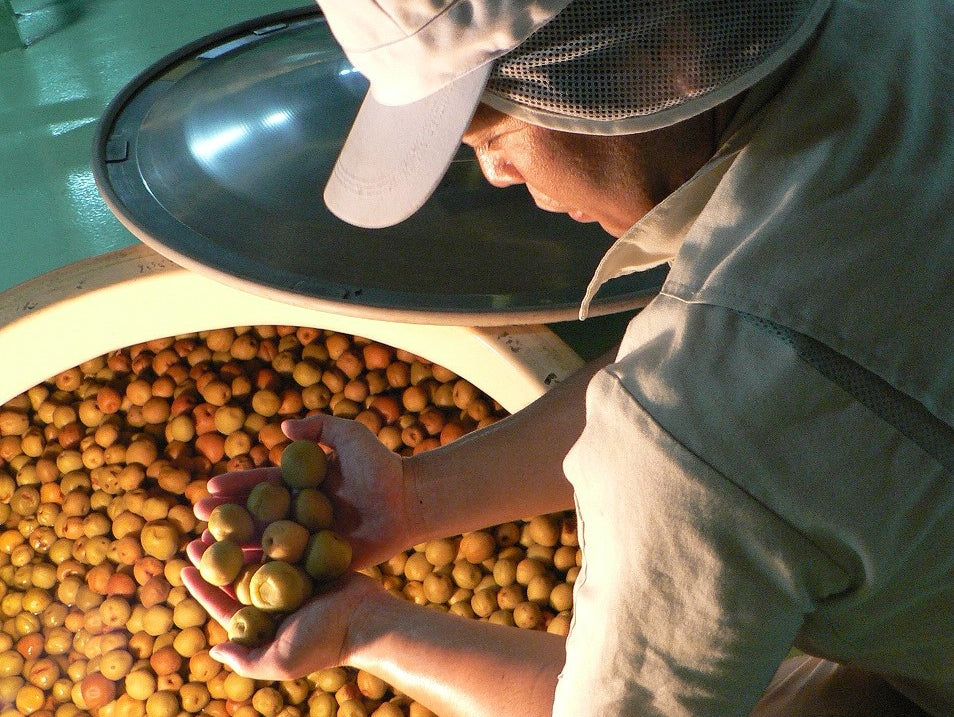 熟成梅酒で夏の暑さを乗り切る