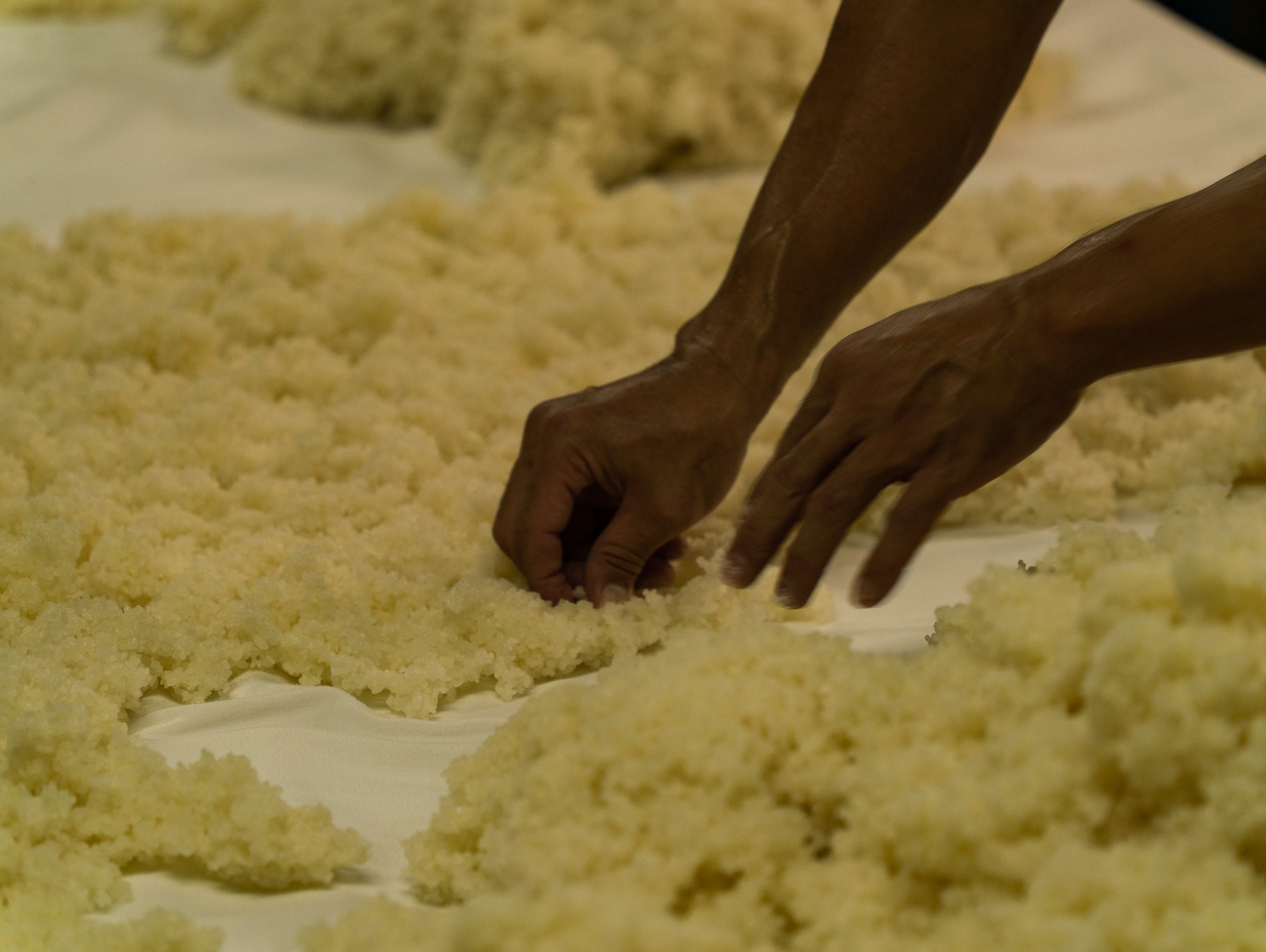 秋の実りを感じる 米にこだわったヴィンテージ日本酒・焼酎