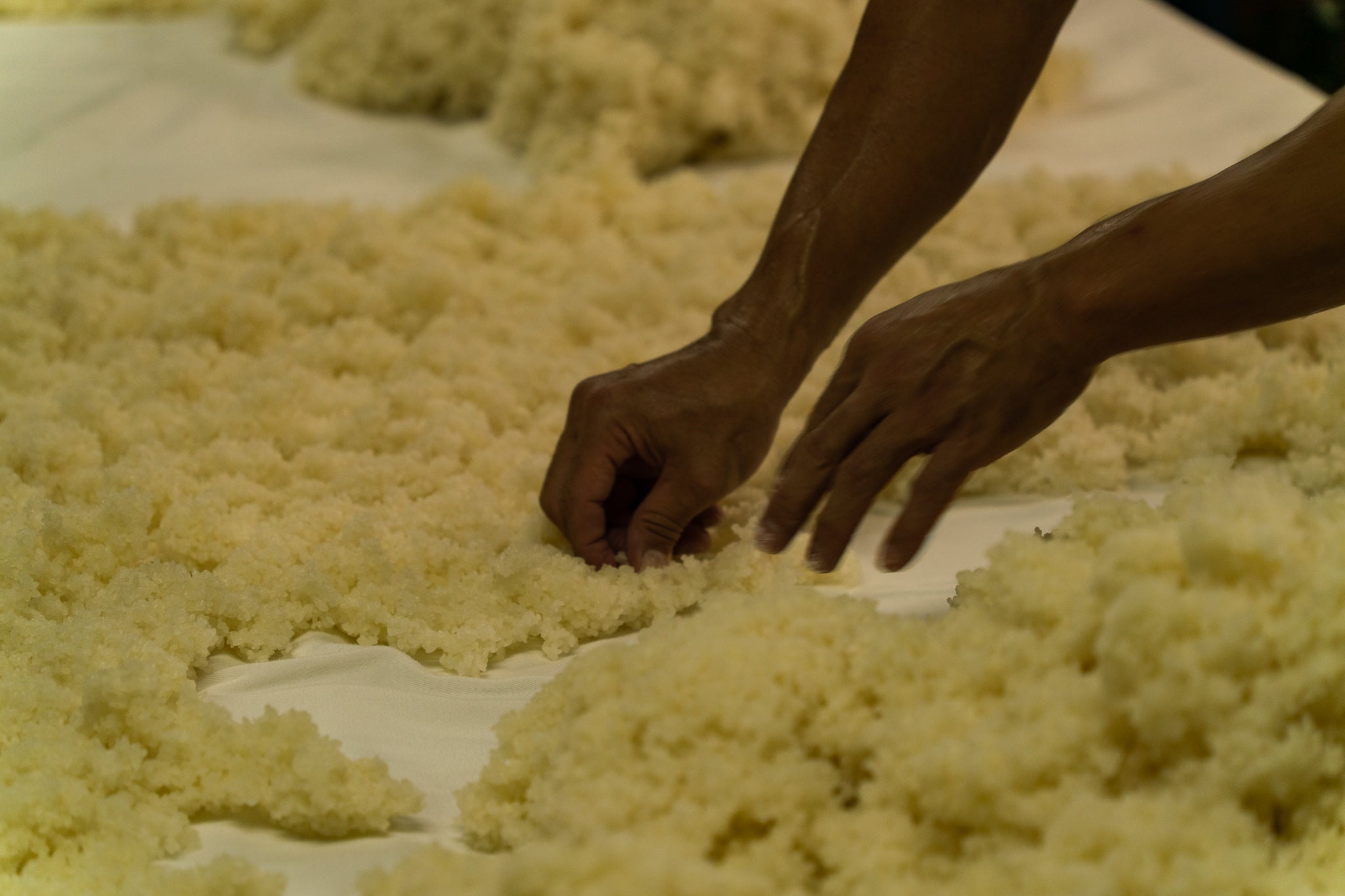 秋の実りを感じる 米にこだわったヴィンテージ日本酒・焼酎